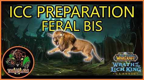 feral druid bis